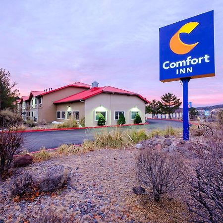 Comfort Inn Near Gila National Forest Silver City Bagian luar foto